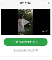豆包图片/视频怎么去水印？新手一步一步教，不用电脑也可轻松去除水印教程推荐文章-作者:我是贝东示意图5